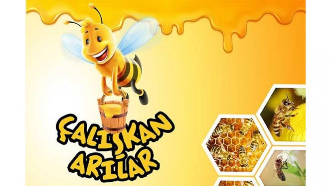 Okulumuzun Çalışkan Arıları